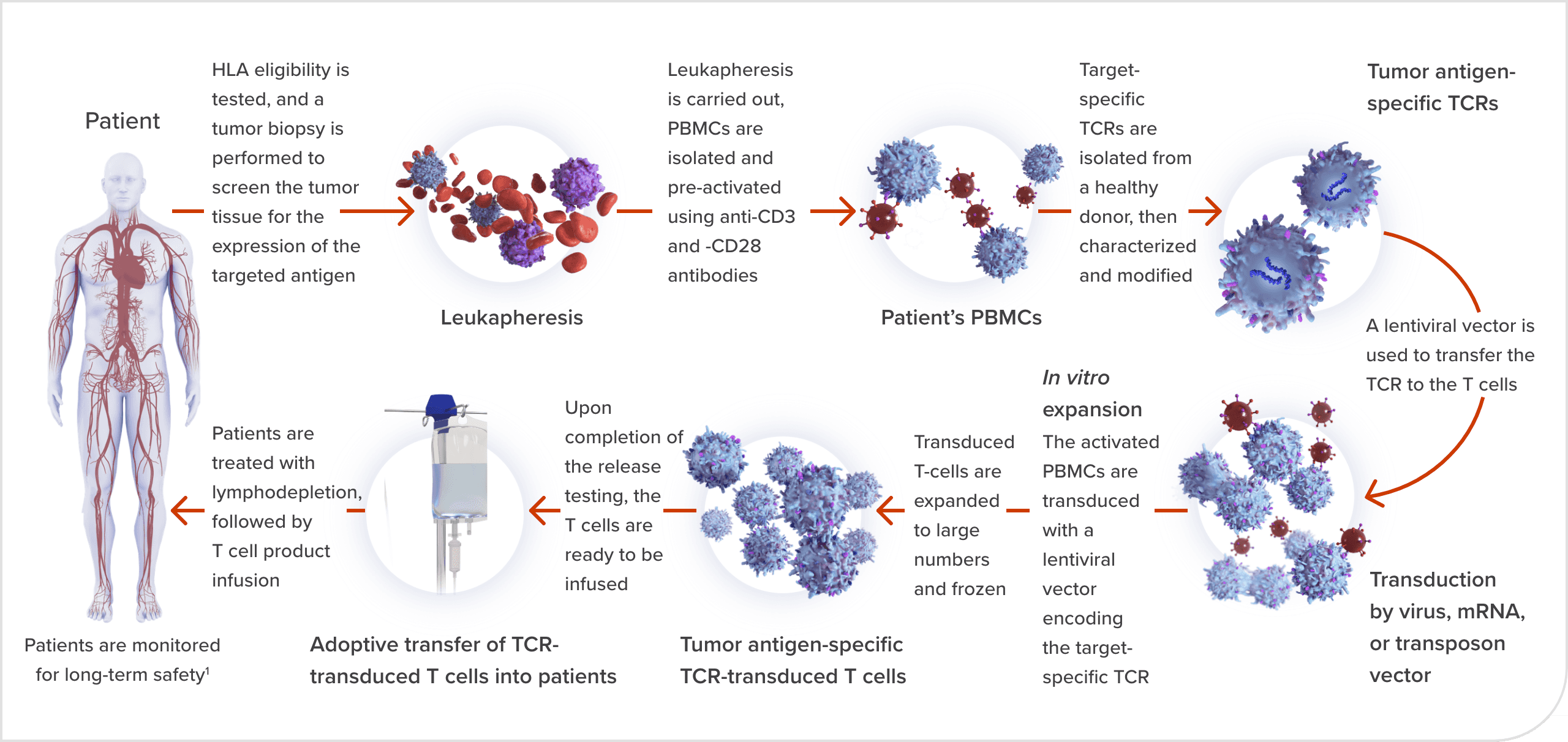 Patient TCR Treatment Journey