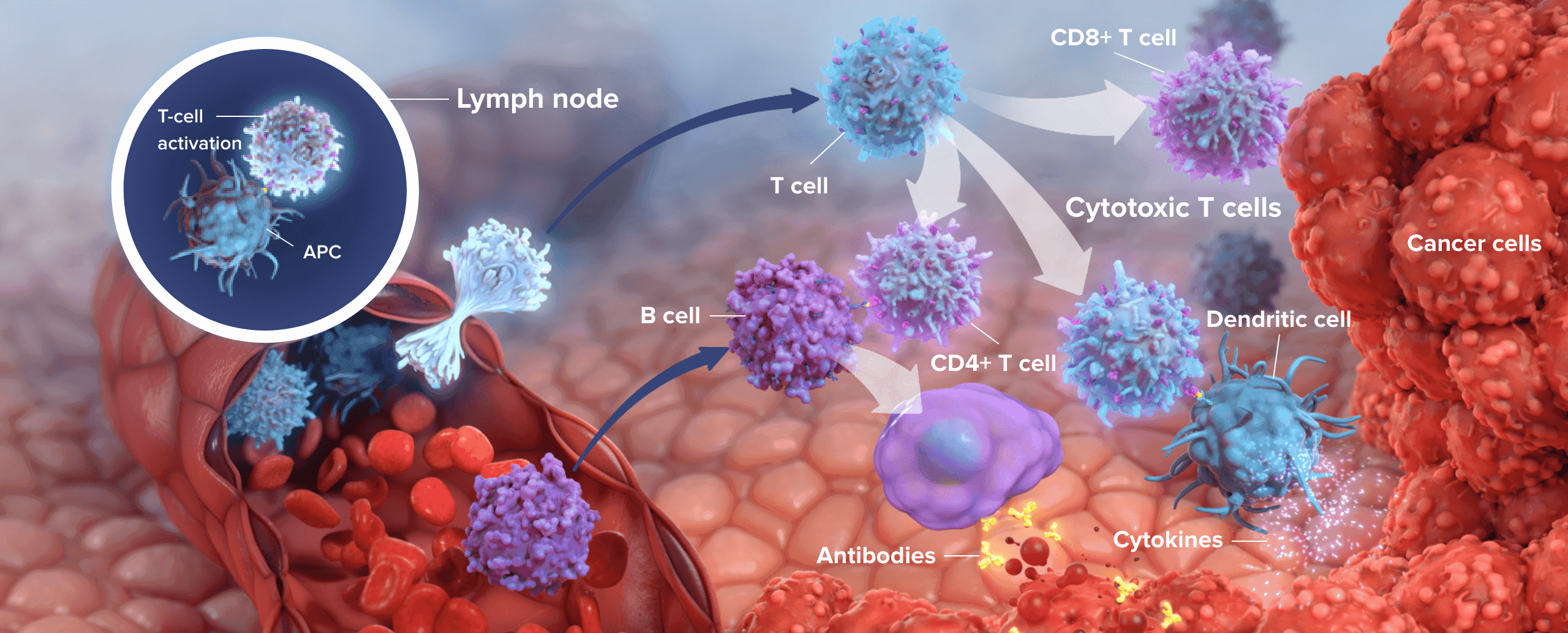 cell image