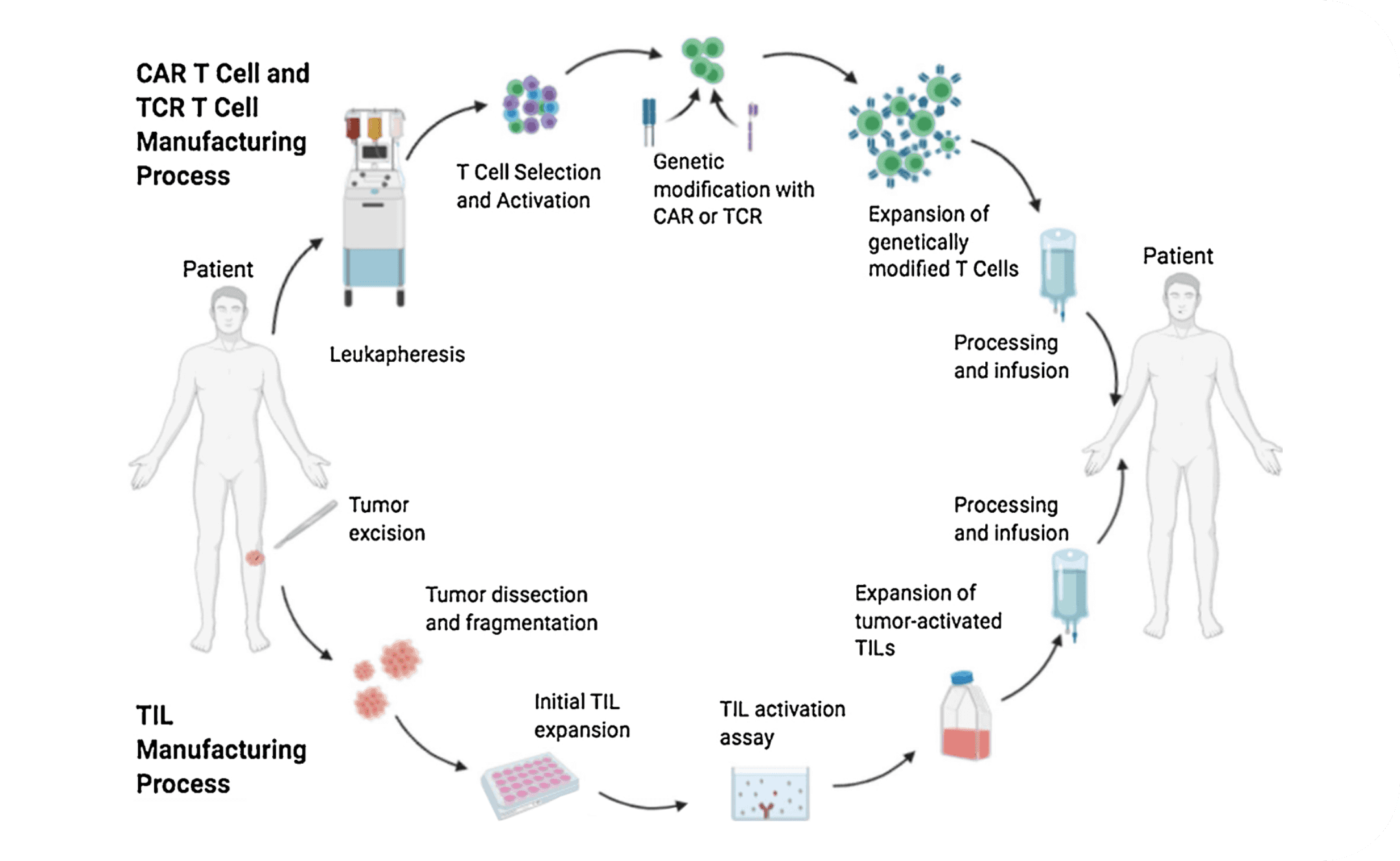 Adaptimmune T-Cell Process chart